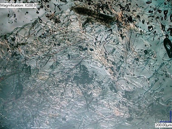 49MF220081_Anpassung_des_Lyocell_Verfahrens_für_Recyclingzellstoffe4.jpg 