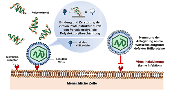 Schematische_Darstellung_der_Virusinaktivierung_durch_polyionische_Beschichtungen.png 