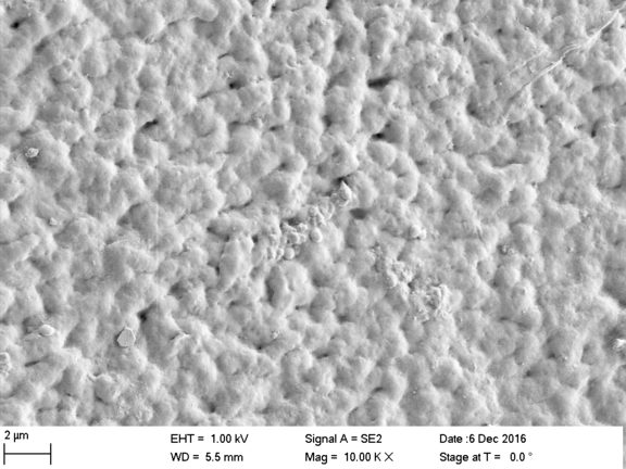 SEM-Aufnahme von CAB (Nano)-Cellulose-Folie