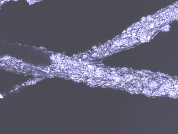 Detailbild Vliesstruktur aus Cellulosefaser mit 30 % inkorporierter DE Danatom N5 Flächenmasse 135 g/m2 3-D-Mikroskop (Laserlicht)