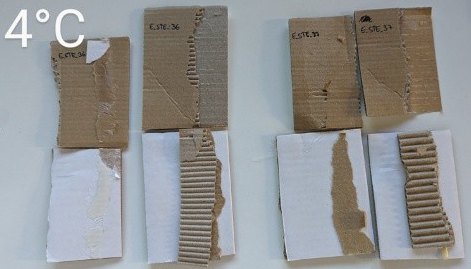BMEL_FNR_2220NR278B_BioFolPack_Biogene_Folien_Verbundklebstoffe_und_Verbunde_aus_Stärkeestern_für_Lebensmittelverpackungen2.jpg 