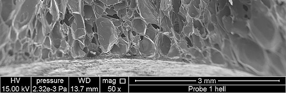 Scanning electron micrograph of a foam structure