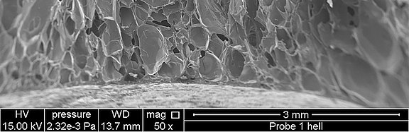 Rasterelektronenmikroskopische Aufnahme einer Schaumstruktur