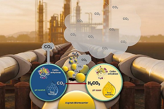 49VF220050_Emissions_und_Hygienekontrolle_durch_visuelle_CO2_Detektion.jpg 