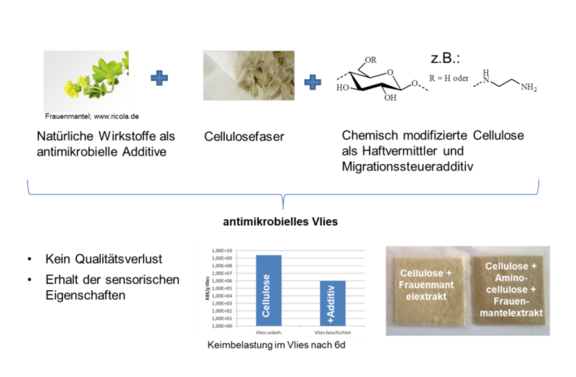 Projektidee und Eigenschaften der hergestellten bioaktiven Cellulosevliese