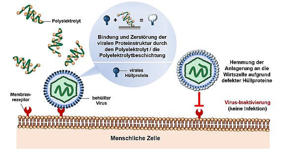 49MF200160_Bild_Wirkmechanismus_Polyelektrolytbeschichtung.JPG 