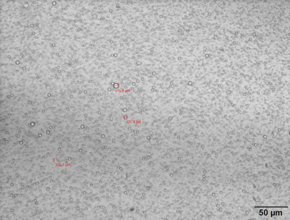 Lichtmikroskopische Aufnahme einer 62 Ma %-Nacolether 12 / Wasser-Slurries