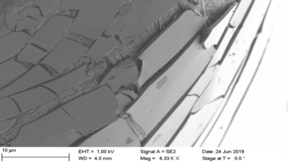 Elektronenmikroskopische Aufnahme eines glasbeschich-teten PLA-Garns. Das Glas hat eine Schichtdicke von nur 500 nm