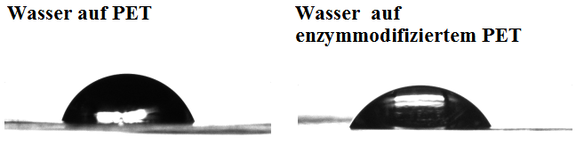 Vergleich des Benetzungsverhaltens anhand von Kontaktwinkelmessungen als Indiz für enzymatische Hydrophilierung an PET-Folien: links – Wassertopfen auf PET vor und rechts – nach enzymatischer Behandlung