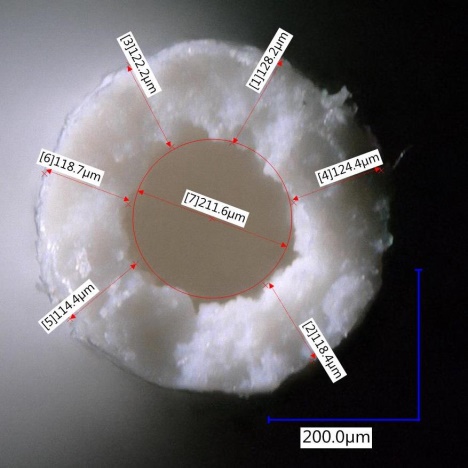 20610BR_einzelne_Hybrid-Holhlfaser_aus_Cellulose_und_Hydroxylapapatit.jpg 