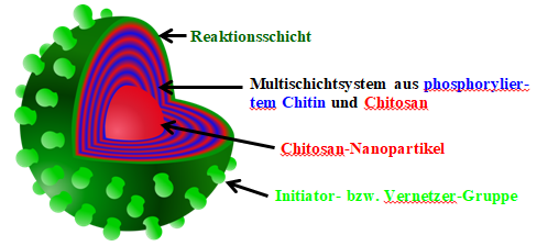 20758BG_Schematischer_Aufbau_der_funktionalisierten_nanopartikulären_Multischichtsysteme.png 