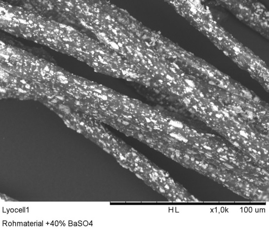 Mikroskopische Aufnahme einer Kompositfaser mit Bariumsulfat als anorganischem Röntgenabsorber.