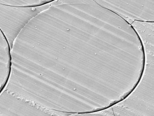 REM-Aufnahmen vom Querschnitt einer PAN-Faser, gesponnen aus BMIMCl-Lösungen